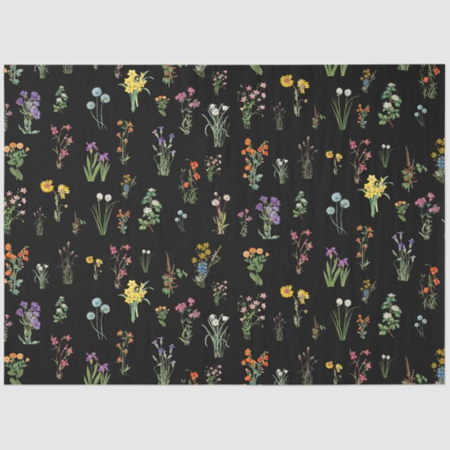 Wildblume Wasserfarbe Schwarzer Botanischer Flor Seidenpapier (Vorderseite)