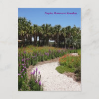Wildblume Wiese Neapel Botanischer Garten Florida