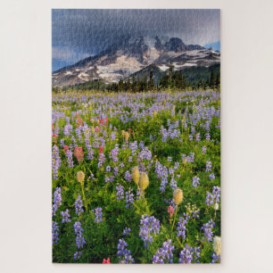 Wildblume Wiese und Lenticular am Rainier-Berg