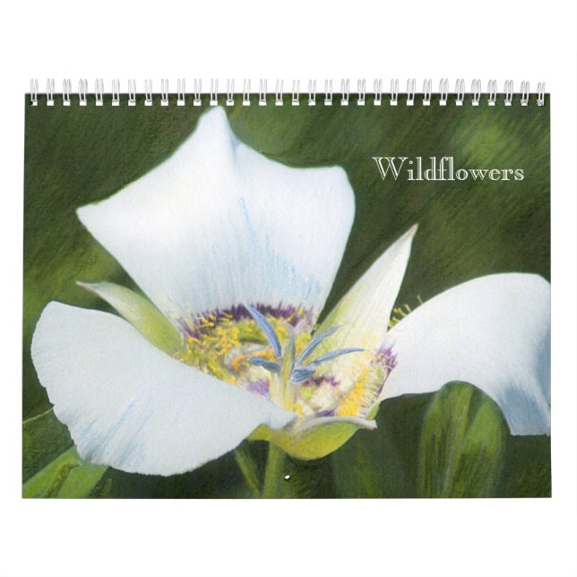 Wildblume-Zeichnungs-Kalender des Western-Co Kalender (Titelbild)