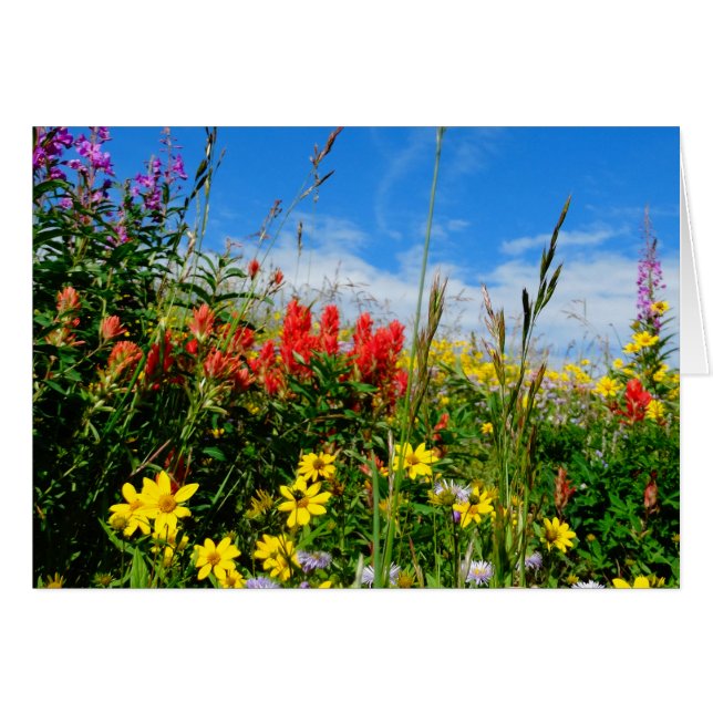 Wildblumen (Vorderseite (Horizontal))