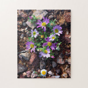 Wildblumen