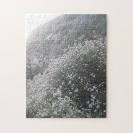 Wildblumen