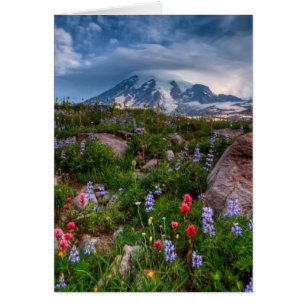 Wildblumen