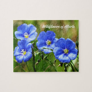 Wildblumen Alberta, Kanada - Naturschutzgebiet