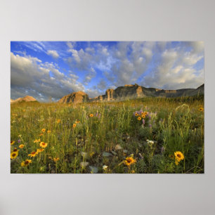 Wildblumen am Wind Creek in der Region Poster