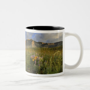Wildblumen am Wind Creek in der Region Zweifarbige Tasse