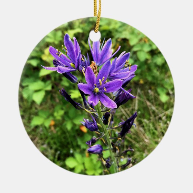 Wildblumen auf dem Weg, Oregon Keramik Ornament (Vorne)