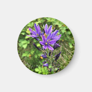 Wildblumen auf dem Weg, Oregon Magnet