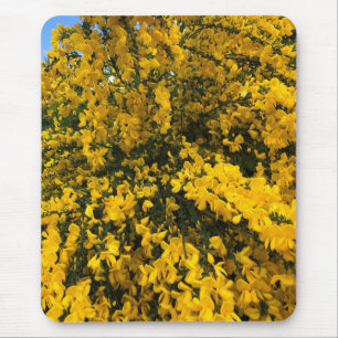 Wildblumen auf dem Weg, Oregon Mousepad