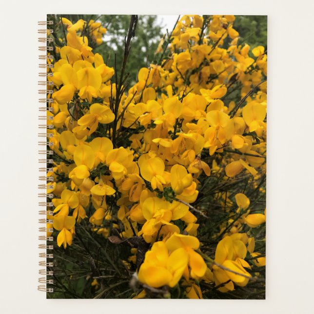 Wildblumen auf dem Weg, Oregon Planer (Vorderseite)