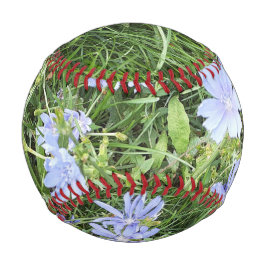 Wildblumen Baseball