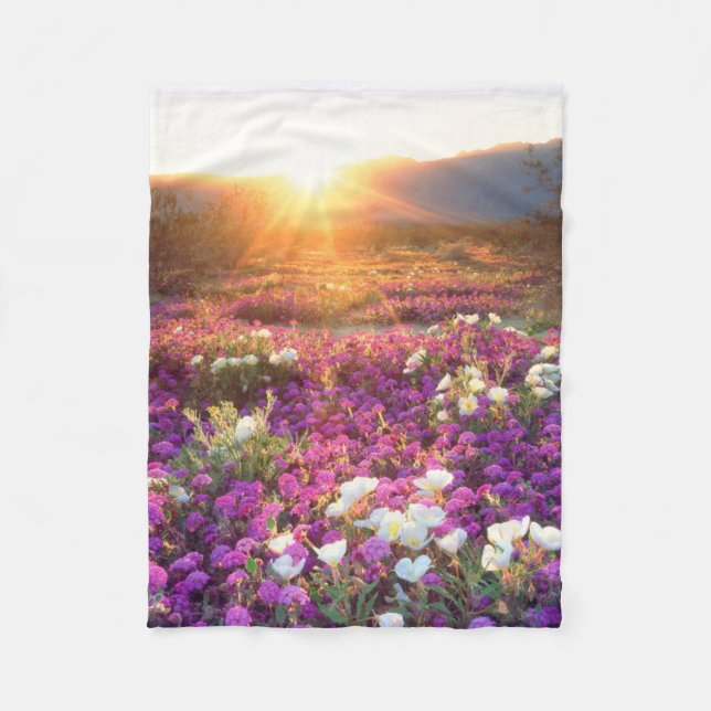 Wildblumen bei Sonnenuntergang | Wüste Anza-Borreg Fleecedecke (Vorderseite)