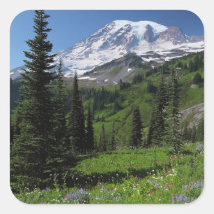 Wildblumen beim Mount Rainier Quadratischer Aufkleber