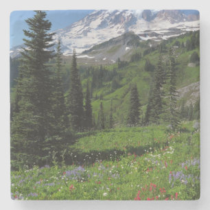 Wildblumen beim Mount Rainier Steinuntersetzer