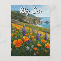 Wildblumen Big Sur Kalifornien