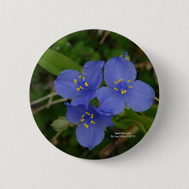 Wildblumen Blue Spiderwort Heiße Quellen AR Gesche Button (Vorderseite)