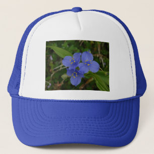 Wildblumen Blue Spiderwort Heiße Quellen AR Gesche Truckerkappe