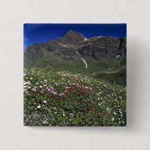 Wildblumen, blühend, Alpen, Schweiz Button