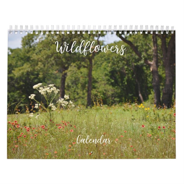 Wildblumen Blumenkalender Blume Kalender (Titelbild)