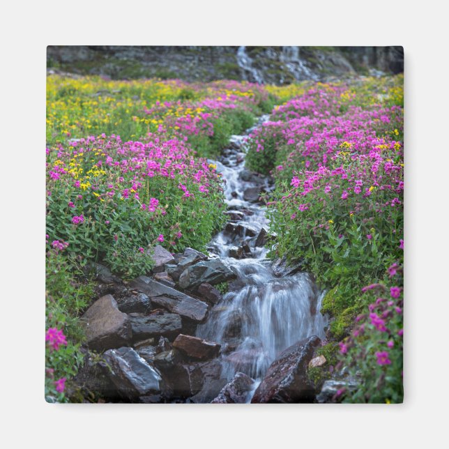 Wildblumen, Clements Mountain, Montana Magnet (Vorne)