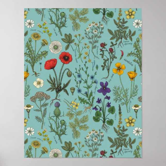 Wildblumen-Collage auf Blau Poster (Vorne)