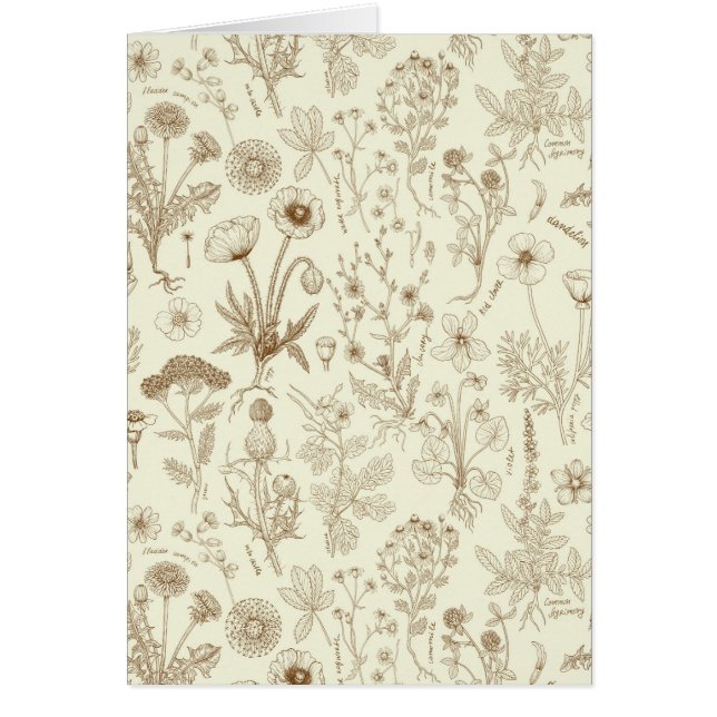 Wildblumen-Collage/ beige und sepia (Vorne)