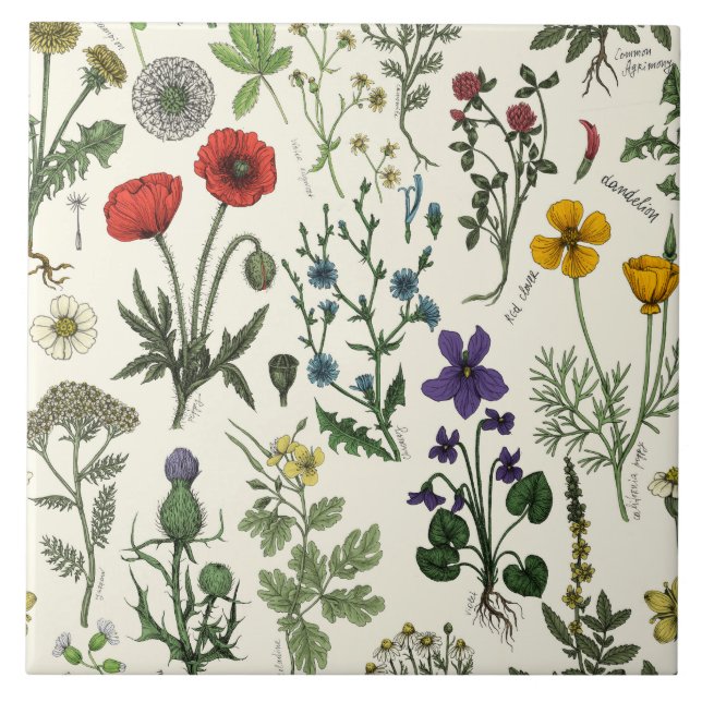 Wildblumen-Collage Fliese (Vorderseite)