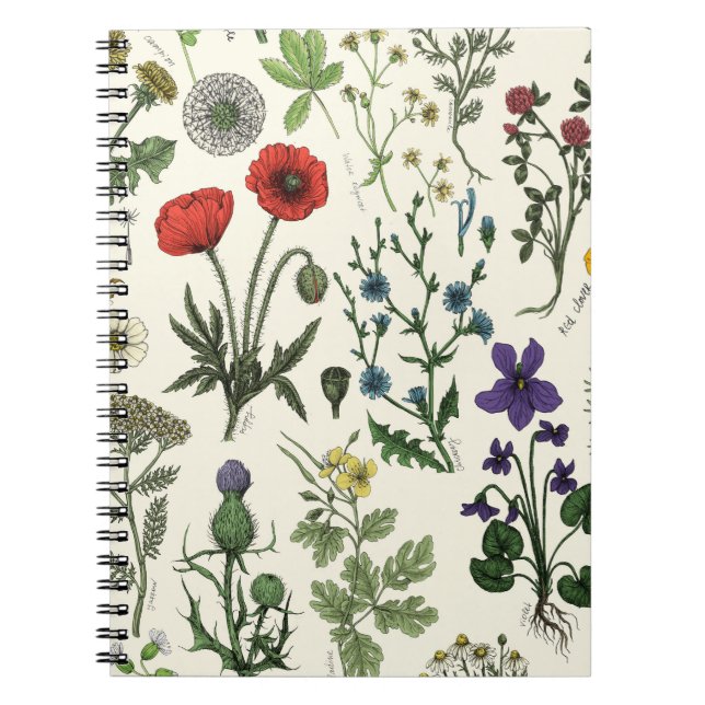 Wildblumen-Collage Notizblock (Vorderseite)