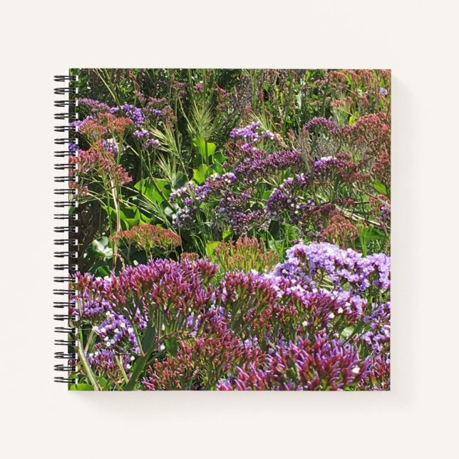 Wildblumen, Cove La Jolla, Kalifornien Notizbuch (Vorderseite)