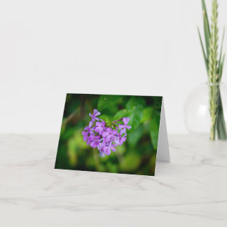 Wildblumen Dankeskarte