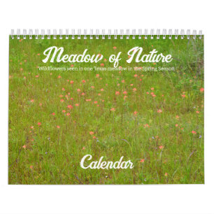 Wildblumen der Wiese Kalender