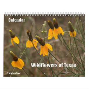 Wildblumen des Texas-Kalenders Kalender