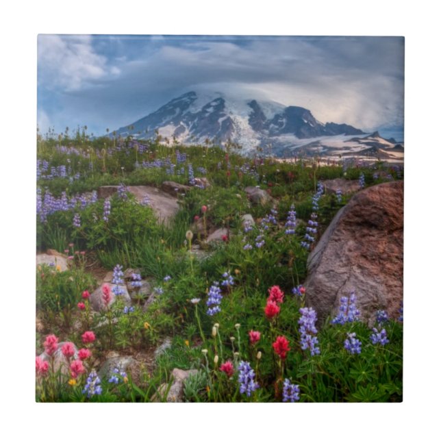 Wildblumen Fliese (Vorderseite)
