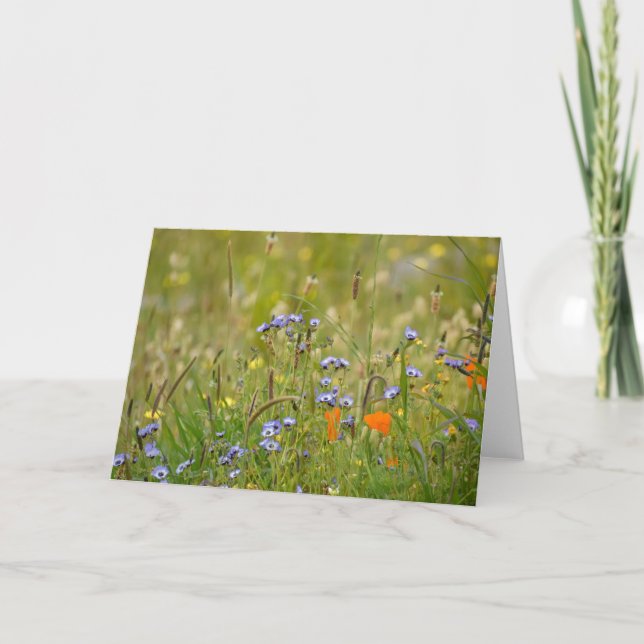 Wildblumen Foto - Leerstelle Karte (Vorderseite)