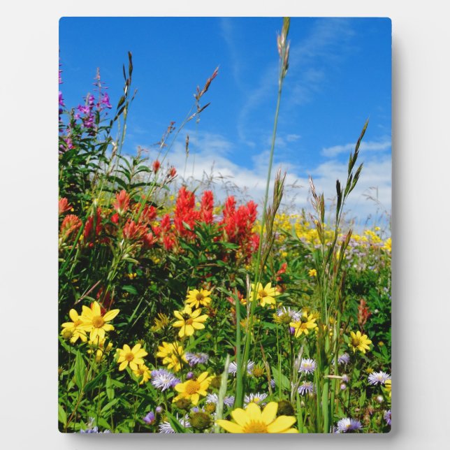 Wildblumen Fotoplatte (Vorderseite)