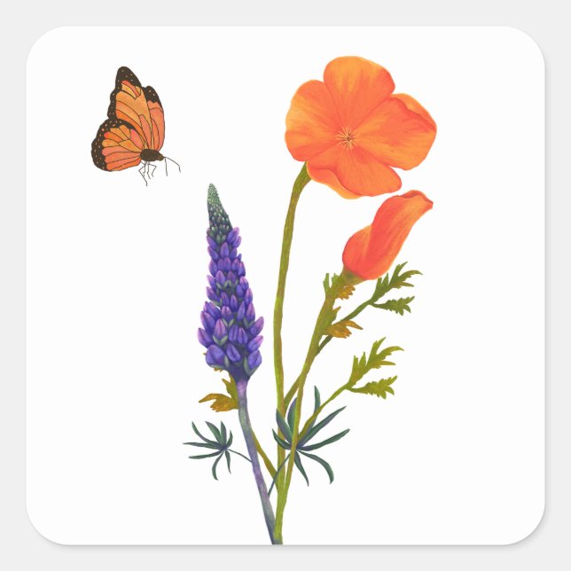 Wildblumen Frühlingspopie Meadow Orange Lila Quadratischer Aufkleber (Vorderseite)