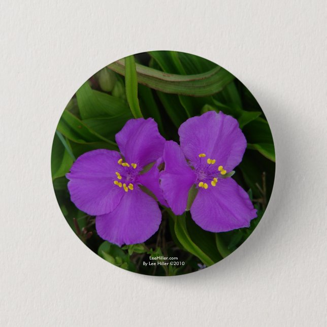 Wildblumen Fuchsia Spiderwort Heiße Federn Geschen Button (Vorderseite)