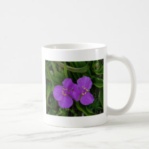 Wildblumen Fuchsia Spiderwort Heiße Federn Geschen Kaffeetasse