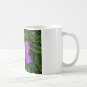 Wildblumen Fuchsia Spiderwort Heiße Federn Geschen Kaffeetasse