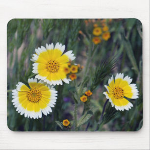Wildblumen Gelbe und weiße Sonnenblumen Mousepad
