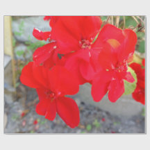 Wildblumen-Geschenkpapier