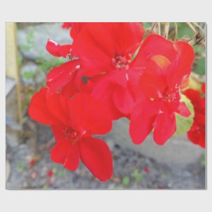 Wildblumen-Geschenkpapier Geschenkpapier