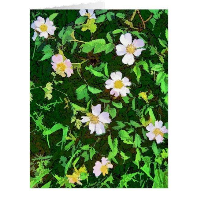 WILDBLUMEN GREETINGS CARD (Vorderseite)