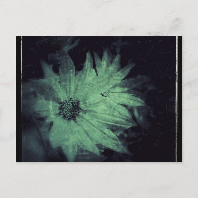 Wildblumen Grunge Postkarte (Vorderseite)