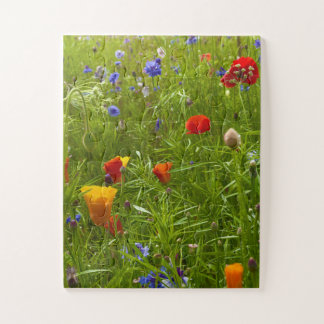 Wildblumen-Harmonie | Dunvegan-Wiese, Isle of Skye