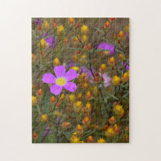 Wildblumen-Harmonie – Lila und Gold in Blüte
