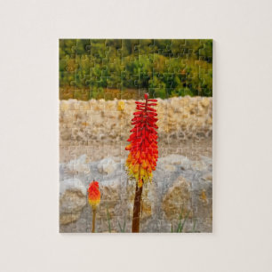 Wildblumen & Historische Ruinen individuell