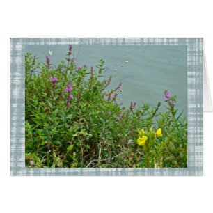 Wildblumen im grünen Lane-Reservoir