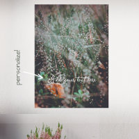 Wildblumen im Herbst